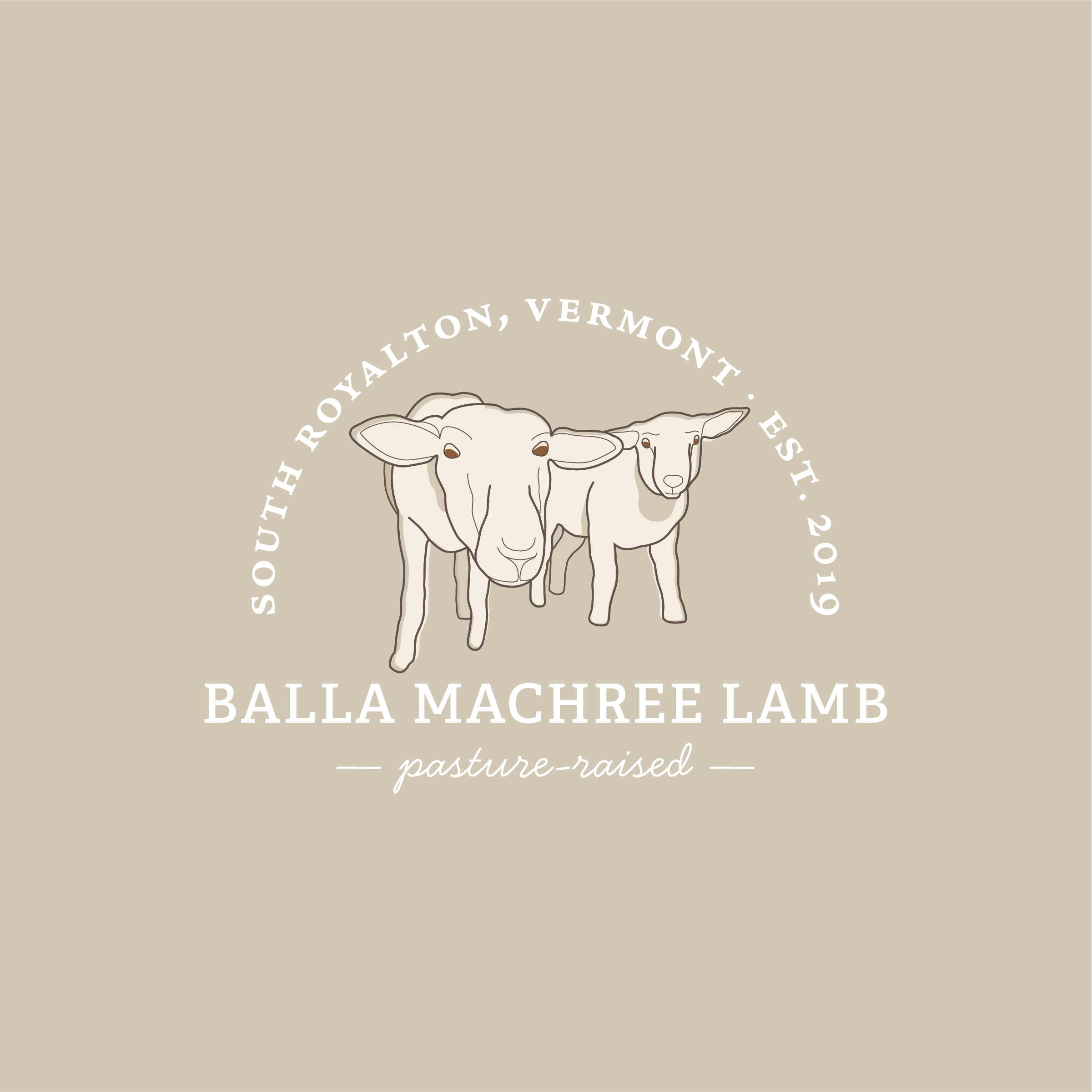 Balla Machree Lamb